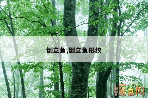 倒立鱼,倒立鱼形纹