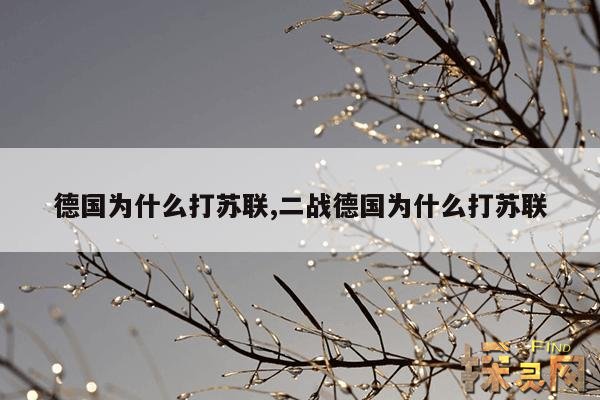 德国为什么打苏联,二战德国为什么打苏联
