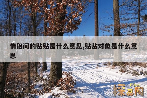 情侣间的贴贴是什么意思,贴贴对象是什么意思