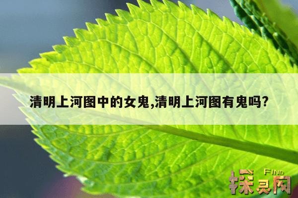清明上河图中的女鬼,清明上河图有鬼吗?