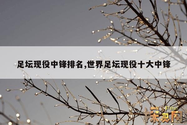 足坛现役中锋排名,世界足坛现役十大中锋