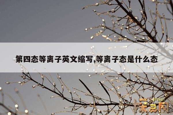 第四态等离子英文缩写,等离子态是什么态