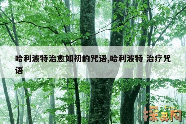 哈利波特治愈如初的咒语,哈利波特 治疗咒语