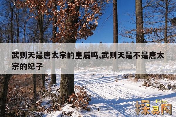 武则天是唐太宗的皇后吗,武则天是不是唐太宗的妃子