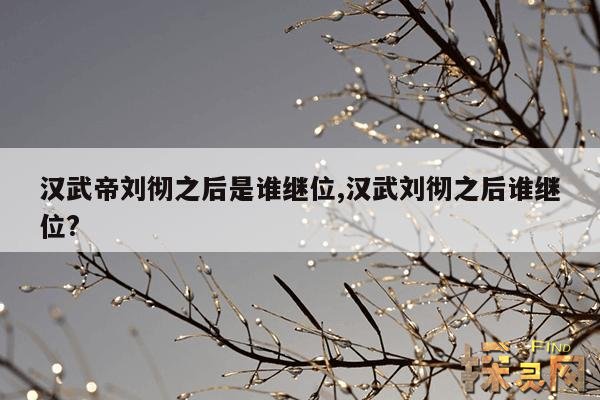 汉武帝刘彻之后是谁继位,汉武刘彻之后谁继位?