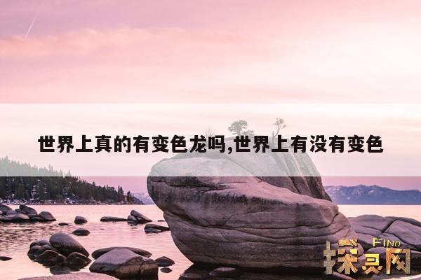 世界上真的有变色龙吗,世界上有没有变色