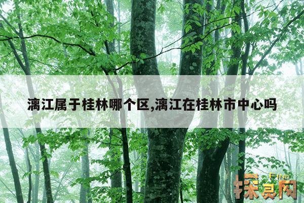 漓江属于桂林哪个区,漓江在桂林市中心吗