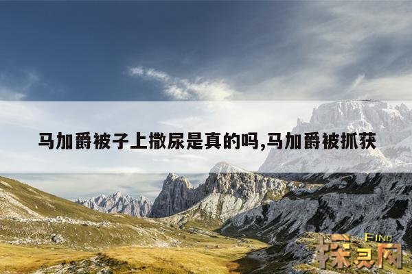 马加爵被子上撒尿是真的吗,马加爵被抓获
