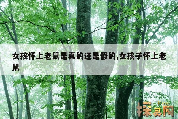 女孩怀上老鼠是真的还是假的,女孩子怀上老鼠
