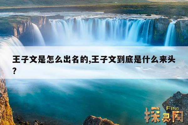 王子文是怎么出名的,王子文到底是什么来头?