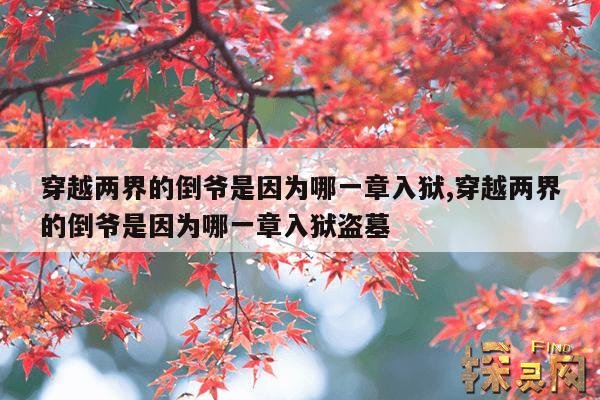 穿越两界的倒爷是因为哪一章入狱,穿越两界的倒爷是因为哪一章入狱盗墓