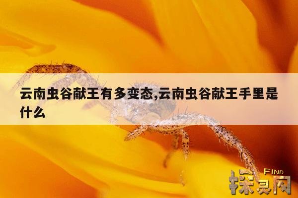 云南虫谷献王有多变态,云南虫谷献王手里是什么
