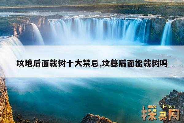 坟地后面栽树十大禁忌,坟墓后面能栽树吗