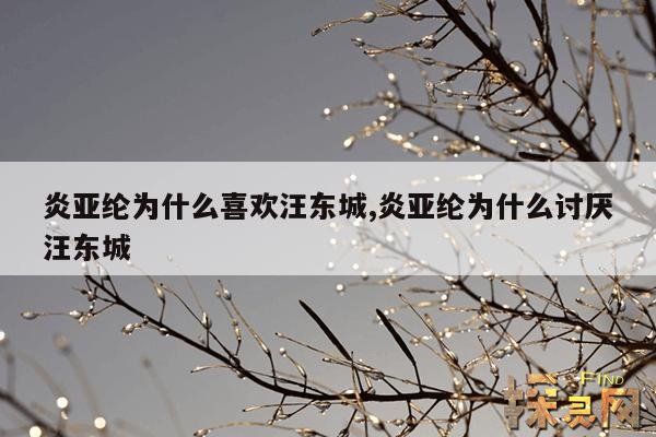 炎亚纶为什么喜欢汪东城,炎亚纶为什么讨厌汪东城