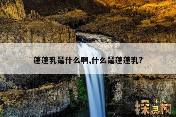 蓬蓬乳是什么啊,什么是蓬蓬乳?