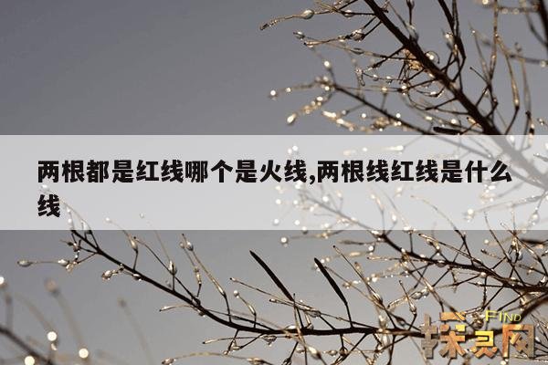 两根都是红线哪个是火线,两根线红线是什么线