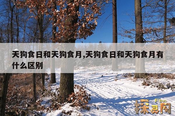 天狗食日和天狗食月,天狗食日和天狗食月有什么区别