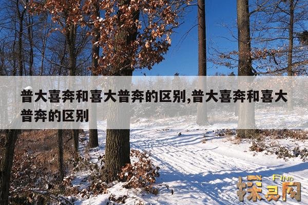 普大喜奔和喜大普奔的区别,普大喜奔和喜大普奔的区别