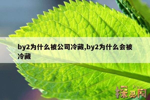 by2为什么被公司冷藏,by2为什么会被冷藏