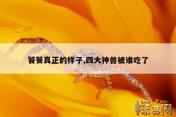饕餮真正的样子,四大神兽被谁吃了