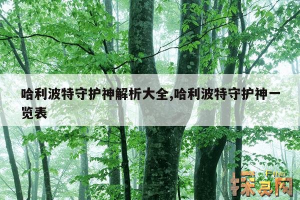 哈利波特守护神解析大全,哈利波特守护神一览表