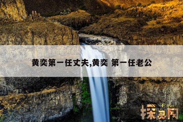 黄奕第一任丈夫,黄奕 第一任老公
