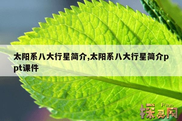 太阳系八大行星简介,太阳系八大行星简介ppt课件