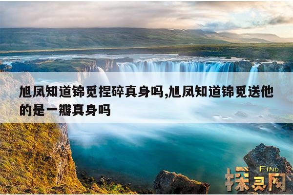 旭凤知道锦觅捏碎真身吗,旭凤知道锦觅送他的是一瓣真身吗