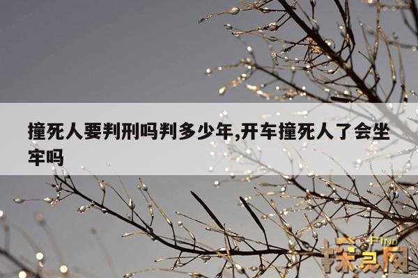 撞死人要判刑吗判多少年,开车撞死人了会坐牢吗