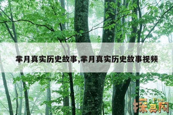 芈月真实历史故事,芈月真实历史故事视频