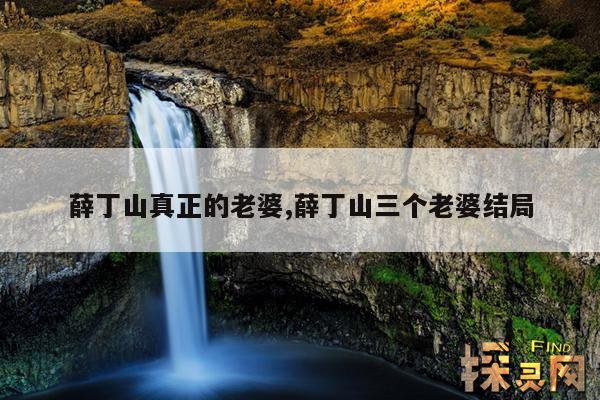 薛丁山真正的老婆,薛丁山三个老婆结局