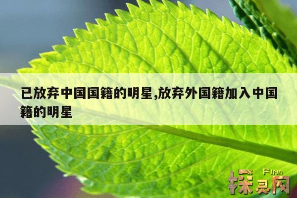 已放弃中国国籍的明星,放弃外国籍加入中国籍的明星