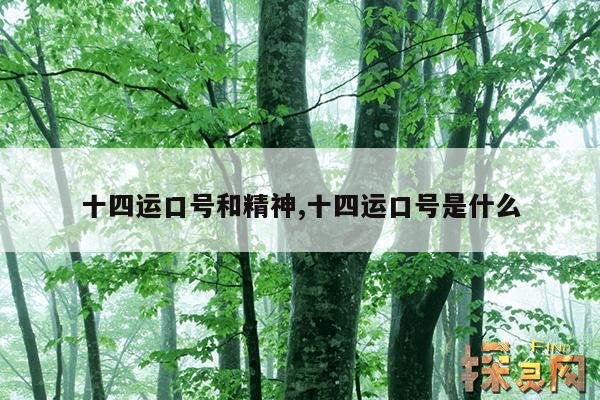 十四运口号和精神,十四运口号是什么