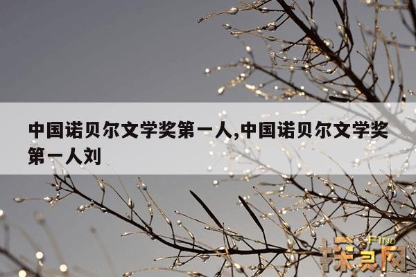 中国诺贝尔文学奖第一人,中国诺贝尔文学奖第一人刘