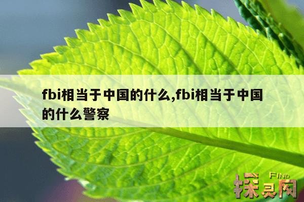 fbi相当于中国的什么,fbi相当于中国的什么警察