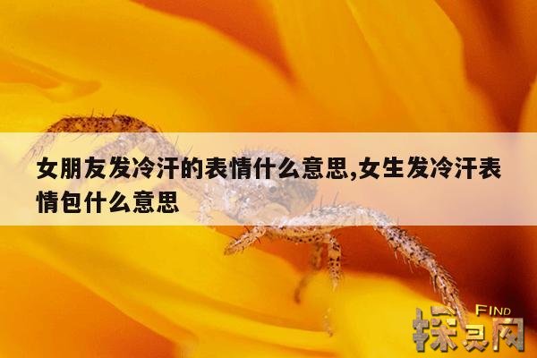 女朋友发冷汗的表情什么意思,女生发冷汗表情包什么意思