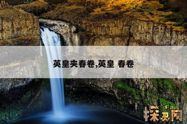 英皇夹春卷,英皇 春卷