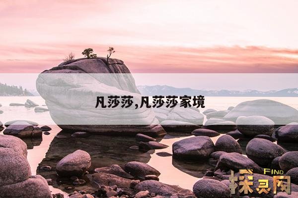 凡莎莎,凡莎莎家境