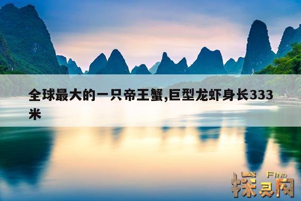 全球最大的一只帝王蟹,巨型龙虾身长333米