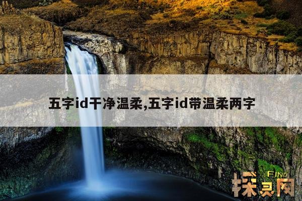 五字id干净温柔,五字id带温柔两字