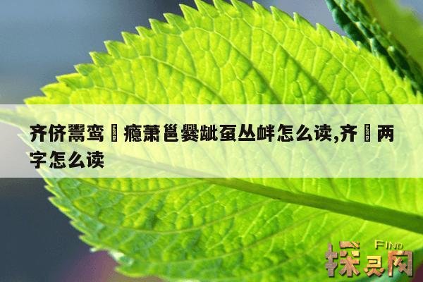 齐侪鬻鸾麤瘾萧邕爨龇虿丛衅怎么读,齐婳两字怎么读