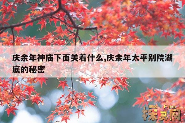 庆余年神庙下面关着什么,庆余年太平别院湖底的秘密