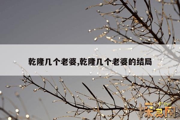 乾隆几个老婆,乾隆几个老婆的结局