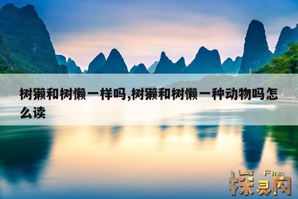树獭和树懒一样吗,树獭和树懒一种动物吗怎么读