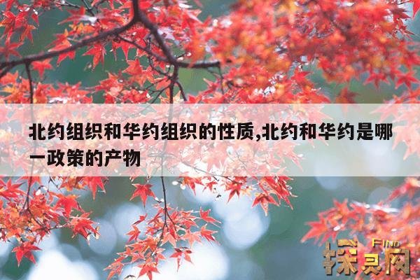北约组织和华约组织的性质,北约和华约是哪一政策的产物