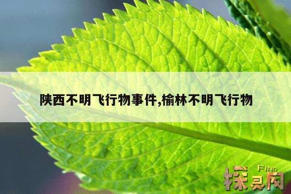 陕西不明飞行物事件,榆林不明飞行物