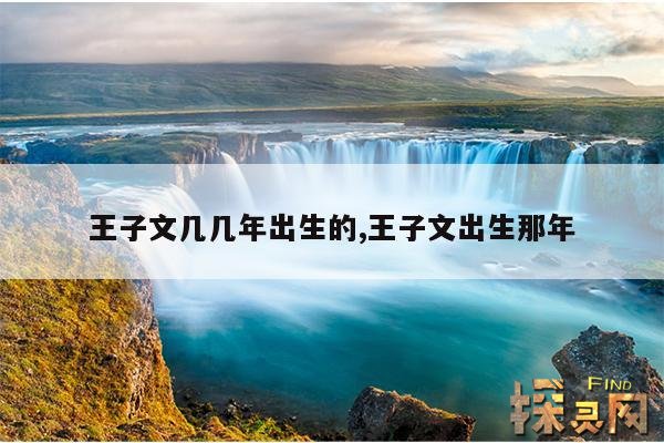 王子文几几年出生的,王子文出生那年