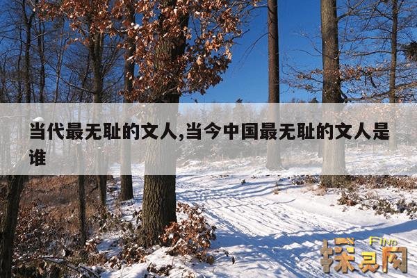 当代最无耻的文人,当今中国最无耻的文人是谁