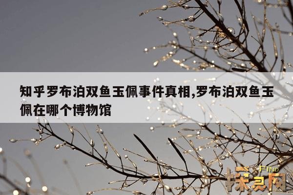 知乎罗布泊双鱼玉佩事件真相,罗布泊双鱼玉佩在哪个博物馆