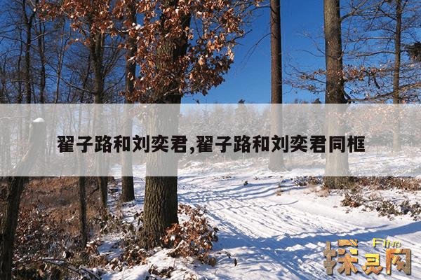 翟子路和刘奕君,翟子路和刘奕君同框